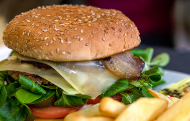 Hamburger on a plate with fried potatoes. Double burger with double cheese with fried potatoes.