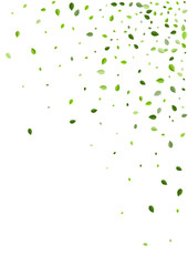 Green Leaf Blur Vector Border. Abstract Foliage 
