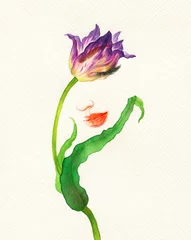 flower girl. fashion illustration. watercolor painting  © Anna Ismagilova