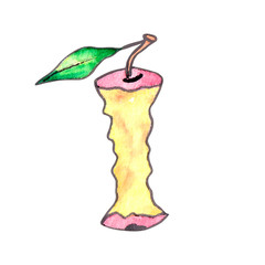 Apple core, watercolor illustration on white background