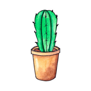 Green cactus in garden pot, hand painted watercolor illustration