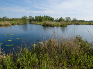 Fototapeta na wymiar Canal. National Park Weerribben-Wieden Netherlands Steenwijkerland. Spring. Overijssel.
