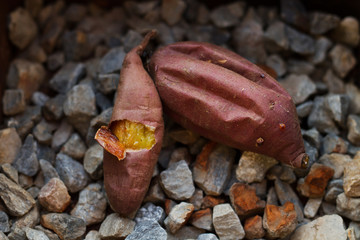 Grill sweet potato with japanese style, Baked sweet potato with small rock in the fry pan.