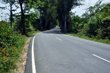Fototapeta na wymiar Long Empty National Highway Road in Himachal Pradesh Forest India
