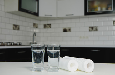 A glass of clean water with osmosis filter, green flowerpot and cartridges on white table in a kitchen interior. Concept Household filtration system.