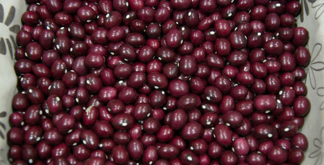 Many beans together, purple type, macro photography