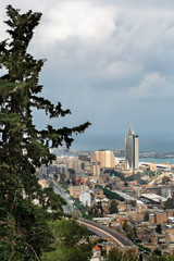 spring panorama of the Haifa