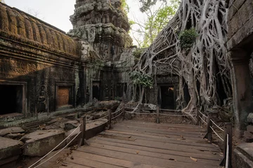 Foto op Plexiglas Ta Prohm Temple, Angkor Temple overgrown by massive trees after abandoned for centuries, Siem Reap, Cambodia © tapanuth