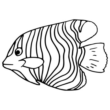 recommend clip art: Outline fish on white isolated backdrop. Coral reef fish for invitation and gift card, tattoo parlor or pet shop logo, bath tile. Phone case or cloth print. Doodle style stock vector illustration