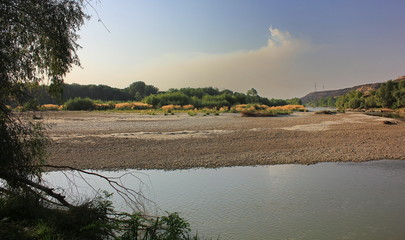 rice field at sunset