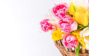 Spring multi-colored tulips in a wicker basket. Festive mood postcard