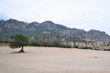 semi-desert landscape at Pachia Ammos beach - Samothraki island, Greece, Aegean sea