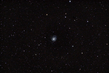 Pinwheel Galaxy Astronomy Object Detailed Space Picture Starry Background