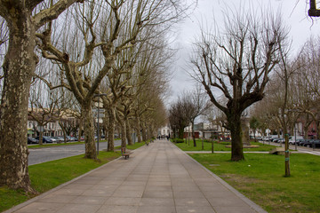 The Republic Square garden in Vila Verde, district of Braga in Portugal.