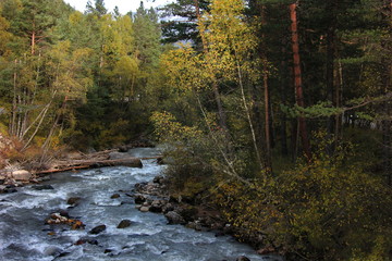 river in autumn forest, Baksan, Баксан