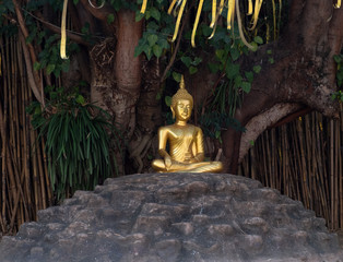 Buddha statue in Phan Tao Temple, Chiangmai, Thailand
