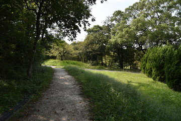 散歩道