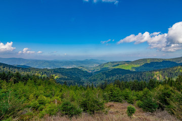 Obraz premium The view down onto the green Black Forest in Germany in spring