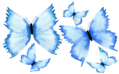 blue butterfly set isolated on white background, watercolor illustration with hand painted butterflies