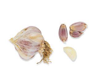 Garlic isolated on white background.
