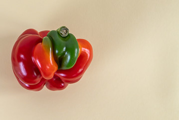 Trendy ugly organic farm vegetable red sweet bell pepper with mutation parts. Copy space