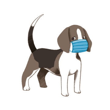 185,312 BEST Dog Run IMAGES, STOCK PHOTOS & VECTORS | Adobe Stock