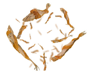 dry dog ​​food on white background