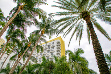 Fototapeta na wymiar Life in Miami