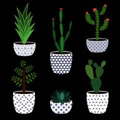 Succulents and cactus plants in decorative ceramic pots. Boho style vector illustration. Cute set of cacti and house plants. - 344121199