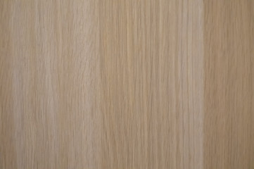 Textural natural background for design