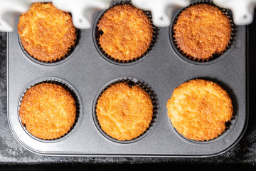 Homemade cupcakes on the oven's baking counter