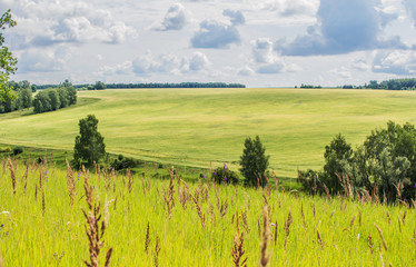 Green field and blue sky with clouds, winter wheat. Landscape of Russia, Zaraysk city. Beauty world