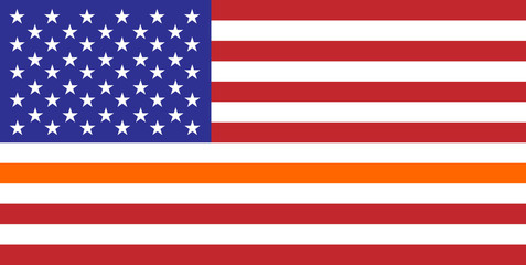 thin orange line flag