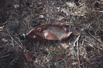 Brown plastic bottle on the ground in a pine forest.
