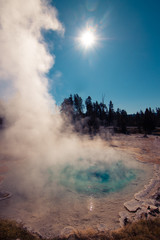 Geysir Yellowstone Nationalpark