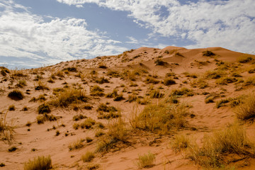 Sanddüne, Namibia
