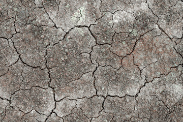 The surface is gray or arid land, the soil surface is cracked from arid agriculture on global warming.