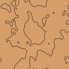 Contour illustration. Abstract topographic map background. Geography scheme.