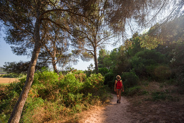 Obraz premium A tourist follows a path through the pine trees, returning from the beach.