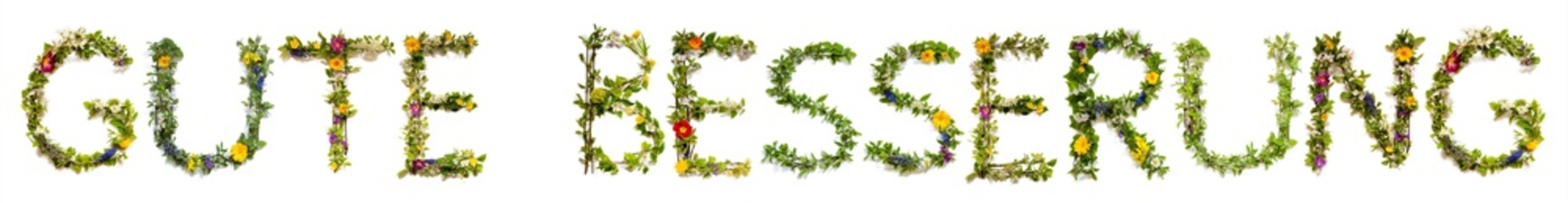 Flower, Branches And Blossom Letter Building German Word Gute Besserung Means Get Well Soon. White...