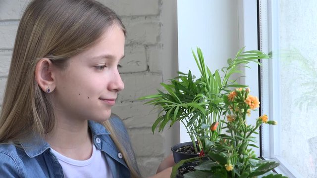 Child on Window, Teenager Girl Admiring Gardening the Flowers, Kid Gardener