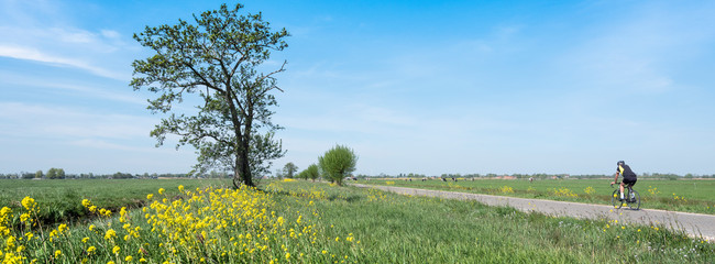 man training on bicycle in spring landscape with flowers between utrecht and Amsterdam in holland - obrazy, fototapety, plakaty