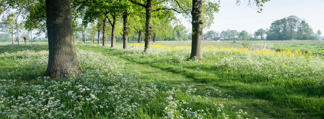 park of castle De Haar near utrecht in holland with spring flowers - obrazy, fototapety, plakaty