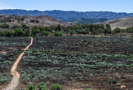 national park in the largest mountain range in south australia