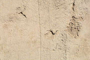 concrete or cement texture for background