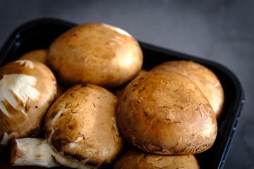 Set of brown mushroom in a black box on a gray background