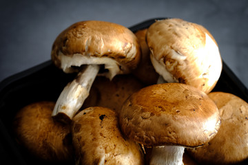 Set of brown mushroom in a black box on a gray background
