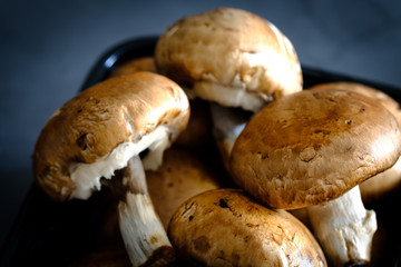 Set of brown mushroom in a black box on a gray background