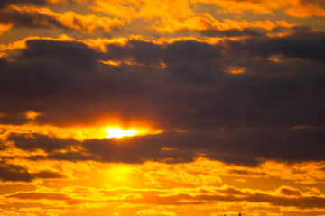 Beautiful orange sunset