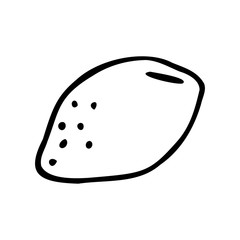 Hand drawn lemon on a white isolated background. Doodle, simple outline illustration. It can be used for decoration of textile, paper and other surfaces.